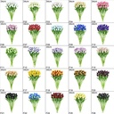 Tulp Tulpen 33cm bundel Zalm F16 / Bundel ca. 10st Real Touch foam