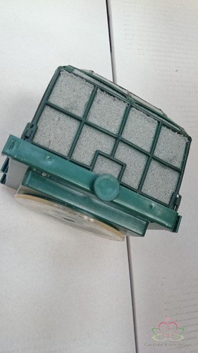 Auto corso 11x11x10cm DROOGSCHUIM SEC. Voor kunstbloemen