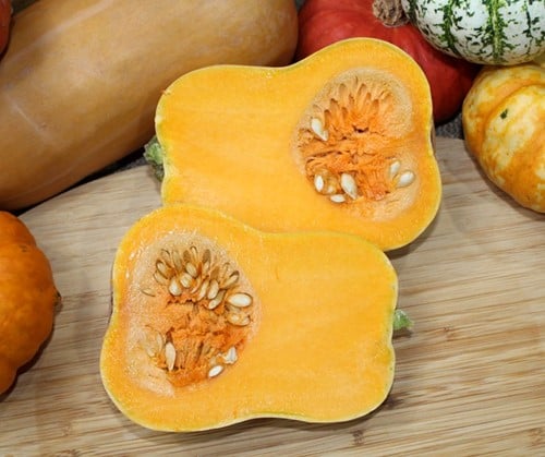 Butternut Butterbaby F1 PMT 1000 Aanrader eenpersoonsflespompoenzaden
