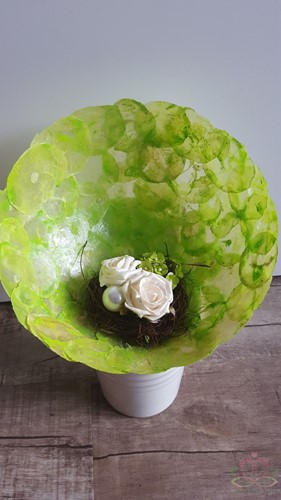 Capiz shell Camar appelgroen 500 gram Geverfde schelpen