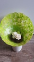 Capiz shell Camar appelgroen 500 gram Geverfde schelpen