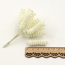 foam Curly Stamen Bacca pick Creme 12/bundel voor corsages en inpakken