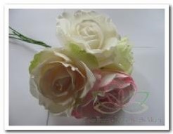 foamrose Sophie Cremepeach-Groen 14 cm /stuk foamrose Sophie