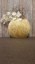 PHALAENOPSIS Orchidee SPRAY IVORY 77cm zijdebloem