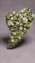 OASIS® Bioline Hart Swing (7).webp