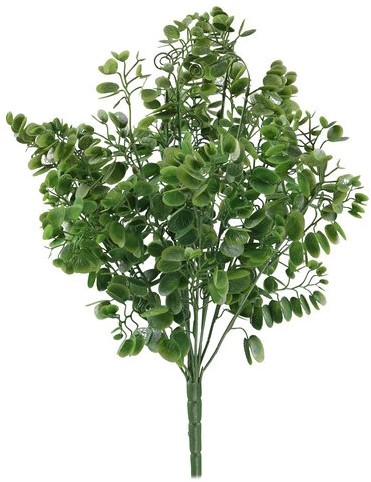 BAUHINIA LEAF BUSH groen Mooie vuller voor boeketten en bloemstukken