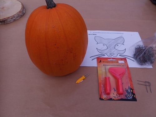 Pompoen uitsnijsetje setje om pompoenzaden uit te snijden carvingkit