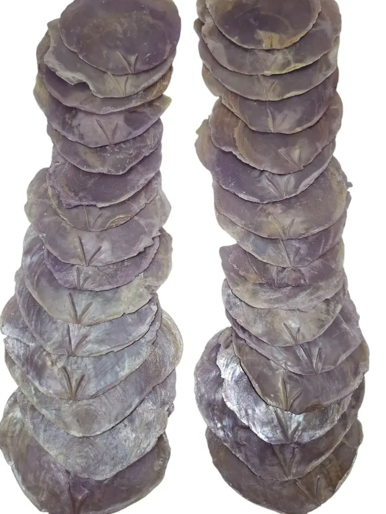 Capiz Camar schelpen Lila 500 gram