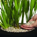 Afdeksteentjes Velda Vijvergrind Pond Gravel 4-6 mm Pot 2 liter 