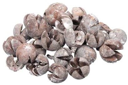 Chillery Eucalyptus Bell White wash ca. 500 gram