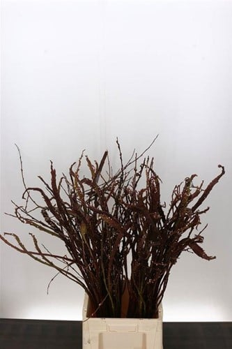 Salix Bandwilg Sekka ca. 90 cm