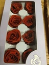 Geconserveerde rozen Geprepareerd Rood Earth doos 8 stuks