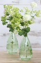 Gekleurd Glazen Flesje Paris Soft Groen Lichtgroen Ø7,5 cm H15,8 cm per stuk