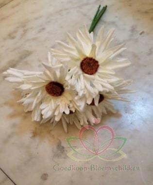 Aster Gerbera Crème Wit Foambloem Doos 30 stuks