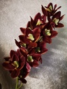 Orchidee Cymbidium Zijdenbloem Purple 96 cm per stuk