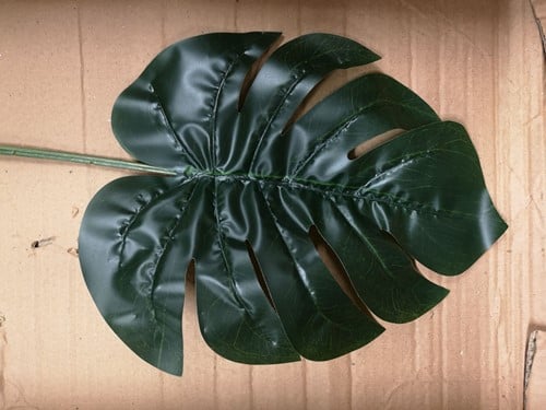 Blad Gatenplant Groot Botanical Split Philo Leaf per stuk