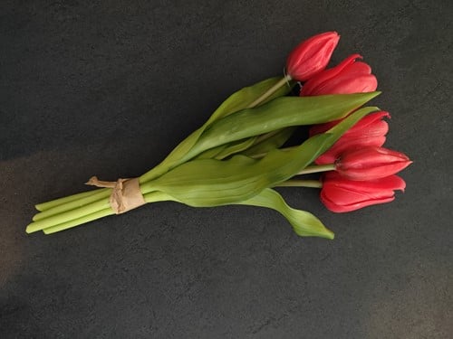Tulpen Real Touch Rood Luxe Siliconen Latex Bundel 5 stuks