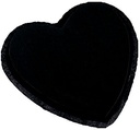 OASIS® Black Biolit Hart 17 x 17 cm per stuk zwart steekschuim oase voor verse, kunst en droogbloemen