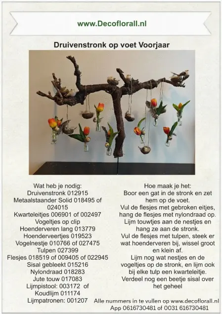 Druivenstronk op voet Voorjaar Stel zelf je pakket samen 