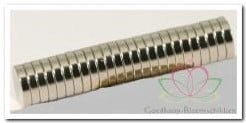 Corsagemagneet 50 sets (100 magneten) 2 mm