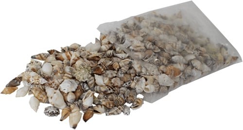 [A-018920] Schelpenmix Vulschelpen Assortie 2,5-3,5 cm 1 kilo