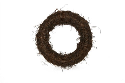 [A-010801] Salimkrans muehlenbeckia dik 9 cm Ø30 cm