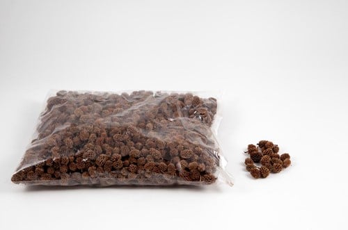 [A-009710] Casuarina Denneappeltjes Naturel ca. 750 gram