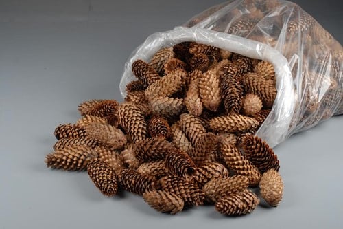 [A-010443] Spruce Dennenappel Spar 5 kilo