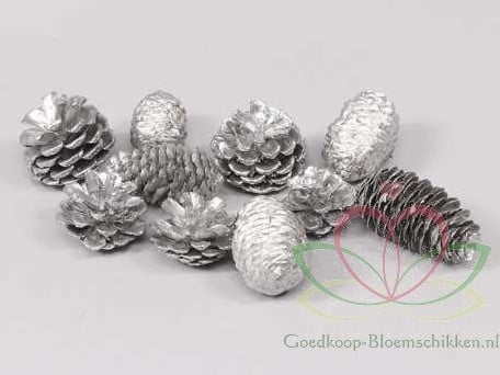 [A-011378] Dennenappel Ray Cones Zilver 500 gram
