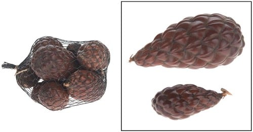 [A-014466] Tika pods 11 stuks
