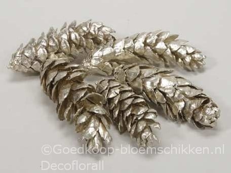 [A-016177] Dennenappel STROBUS Grote dennenappel Platinum 10-15cm Zak50