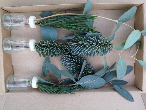 [A-019431] Glas 3 flesjes bloemen Geurend Wintergroen met Eucalyptus en Conifeer in doosje