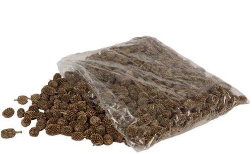[A-019883] Casuarina Denneappeltjes Goud glitters ca. 1 kilo