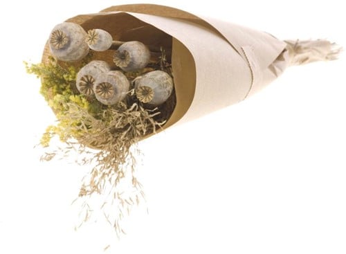 [A-022174] Droogbloemenboeket Papaver in Craft Paper Natural geschikt om zelf Creatief te Verwerken
