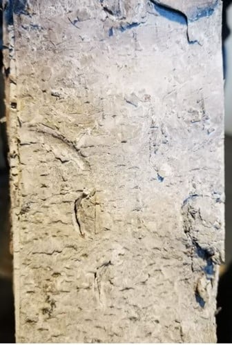 [A-022590] Berkenschors stroken Naturel ca. 46x7,5 cm 10 stuks