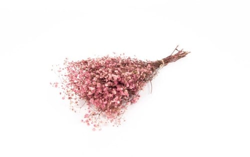 [A-025651] Geprepareerd Gepreserveerd Gipskruid Berry Roze 60 cm 55 gr