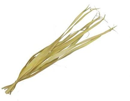 [A-027368] Palmblad Geel 80-95 cm ca. 10 stuks