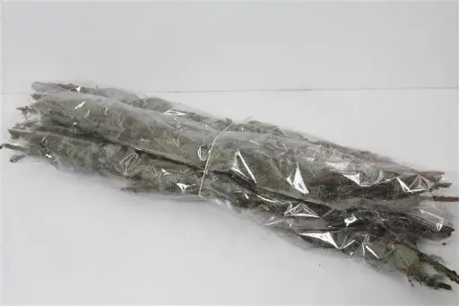 [A-009570] Lychenmos Greymos op tak Naturel 500 gram per bundel