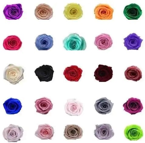 [A-017347] Geconserveerde rozen Geprepareerd Roze Paars doos 8 stuks