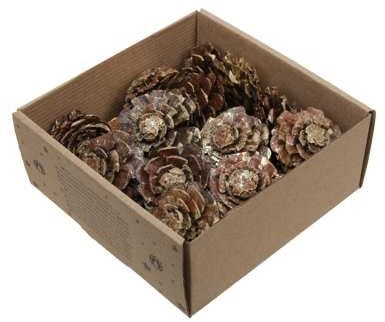 [A-027019] Dennenappel Flower cut Goud Wash doosje 23 stuks