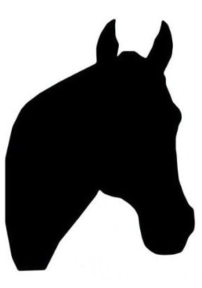 [A-023376-21402] Paardenhoofd steekschuimvorm maatwerk oase voor verse bloemen