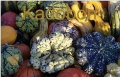 [A-002204] Cadeaubon Kadobon 10 euro