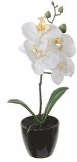 [A-013048] Witte Orchidee in pot Zijdenbloem 34 cm per stuk