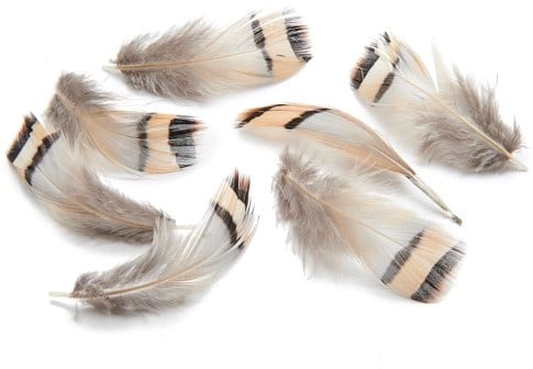 [A-023856] Patrijsveertjes Gestreept Echte veertjes 4-8 cm pakje 15 gram