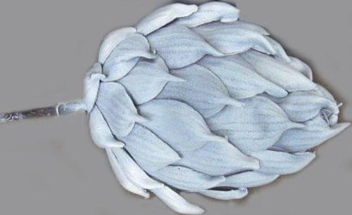 [A-008231] Artisjok Foambloem per stuk