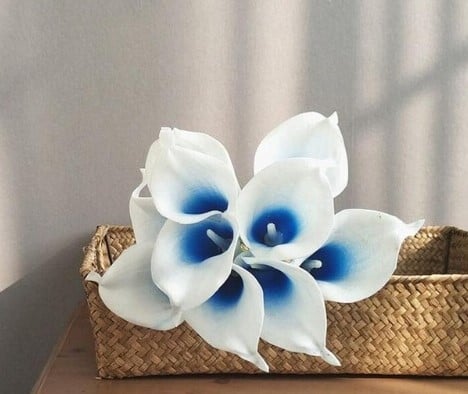 [A-015949] Calla Real Touch White Blue Core 7 cm 37 cm lang per stuk