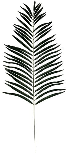 [A-017239] Giant Palmleaf Palmblad Groen 116 cm per stuk