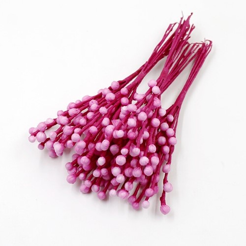 [A-019802] Foamstem Foamtakje Roserood 15 cm Bundel 10 stuks