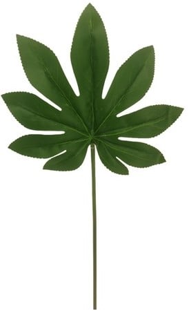 [A-024563] Araliablad Groen 55 cm pak 6 stuks