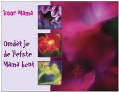 [A-003623] Kaart Omdat je de Liefste Mama Bent